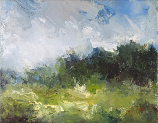 Green trees and field in summer with cloudy sky
