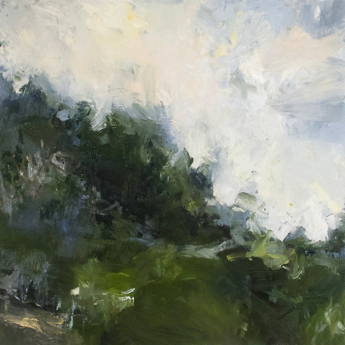 Beside the Meadow