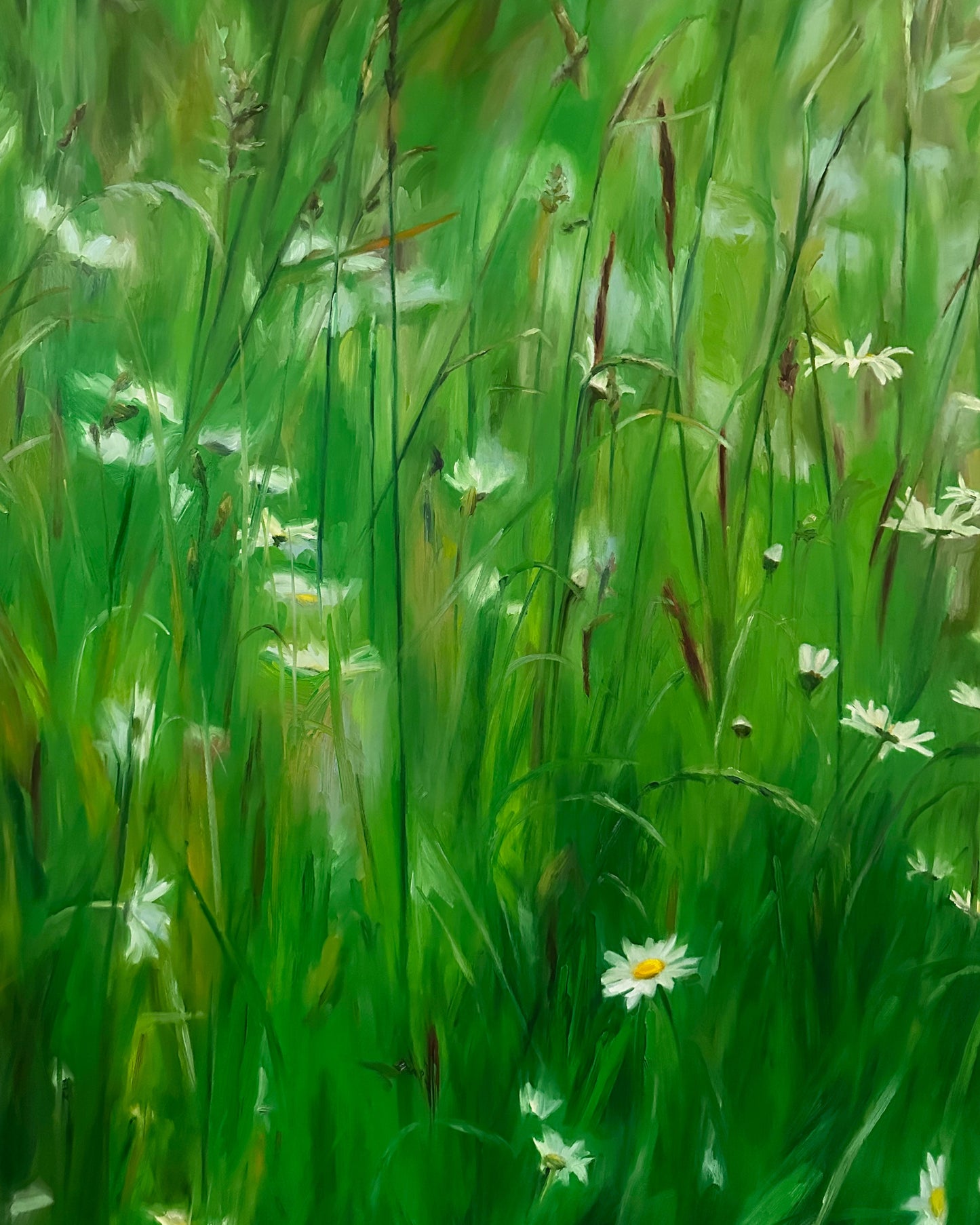 Daisies on Green