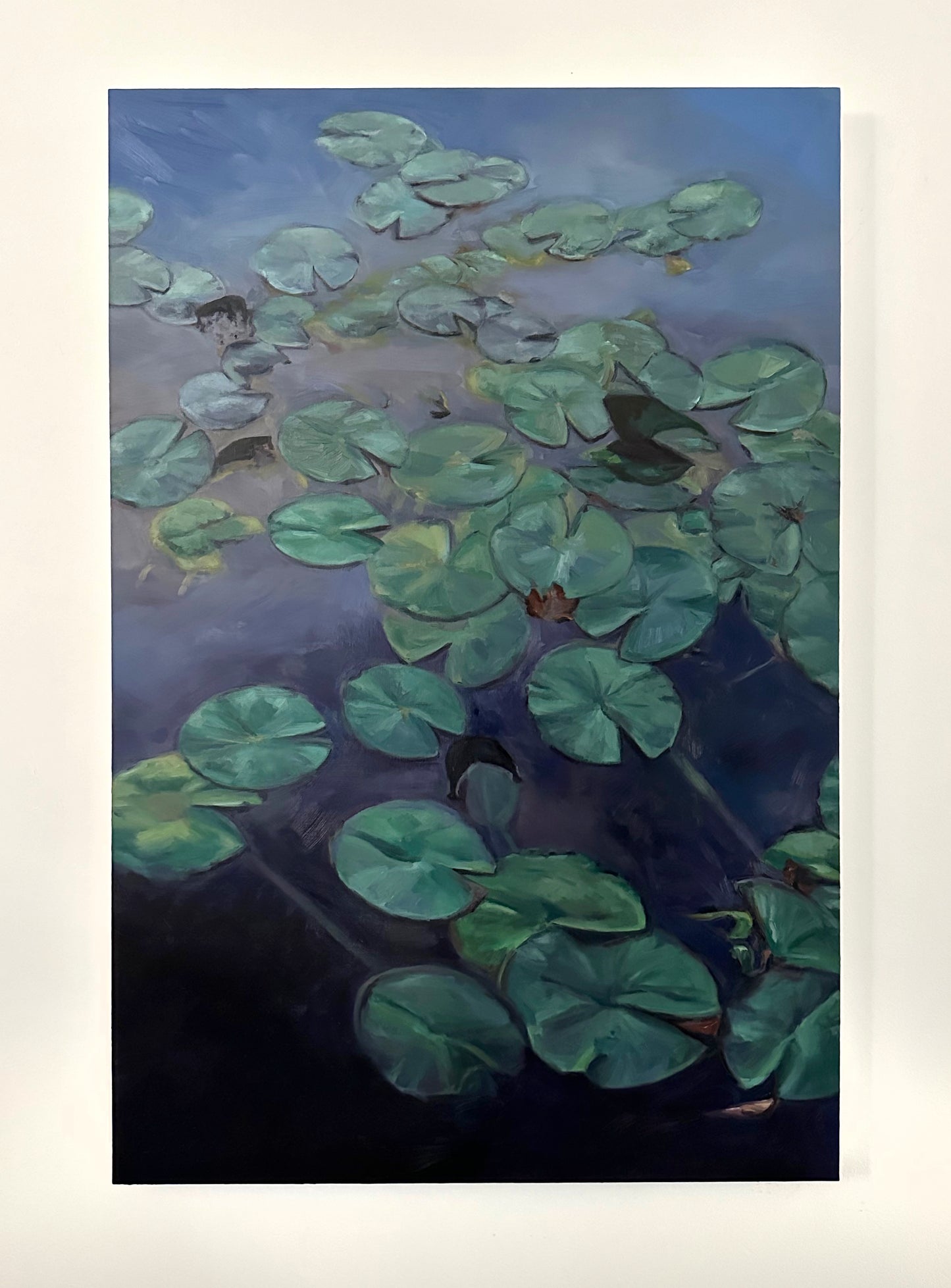 Lily Pond