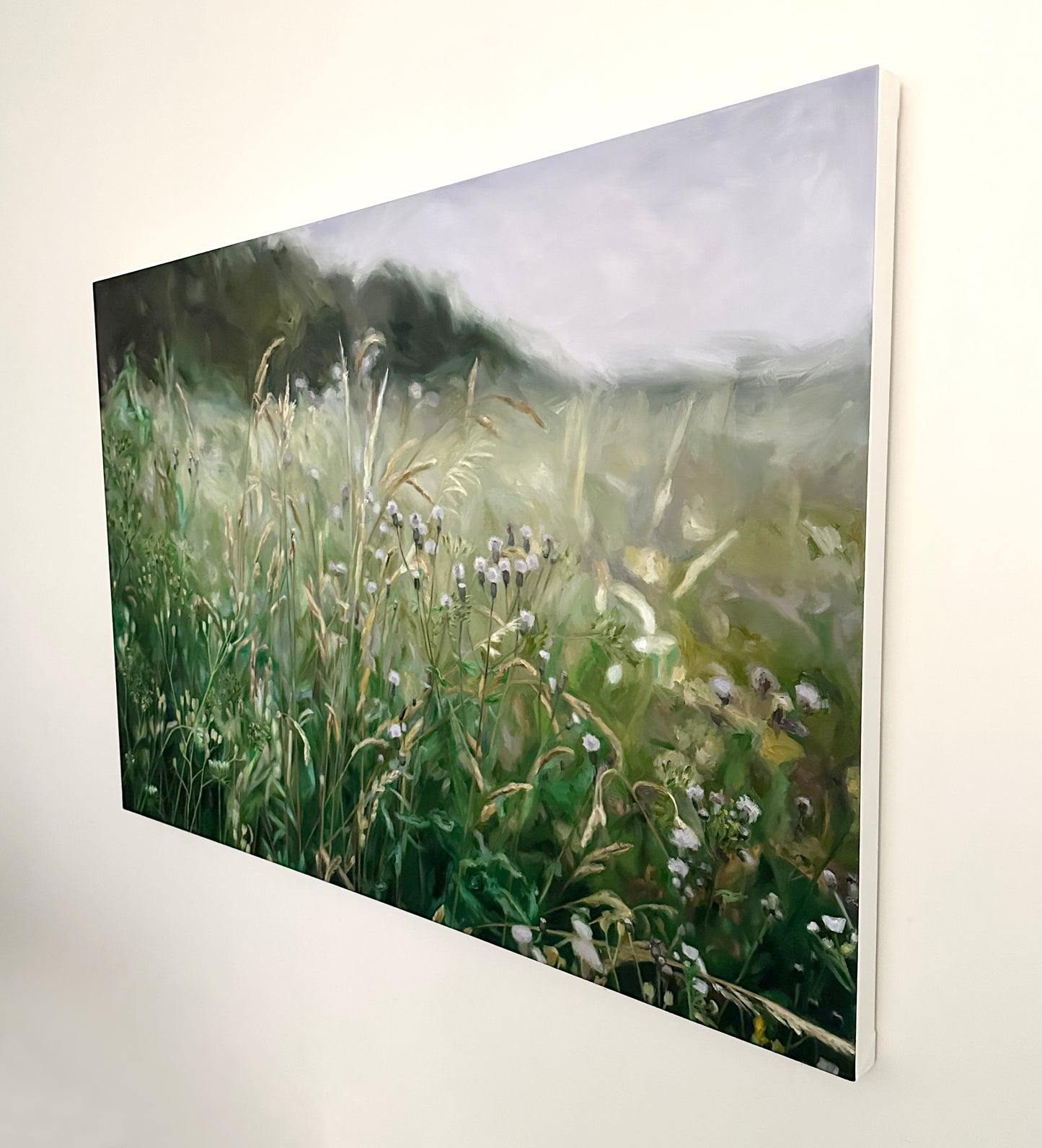Meadow