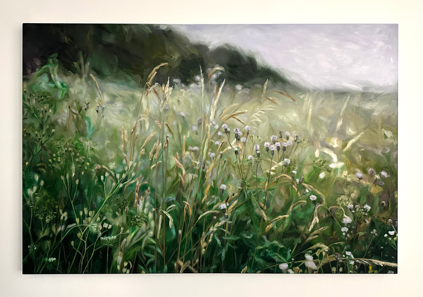 Meadow