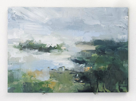 Lake Study VI