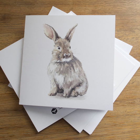 Illustrations for Print and Social Media