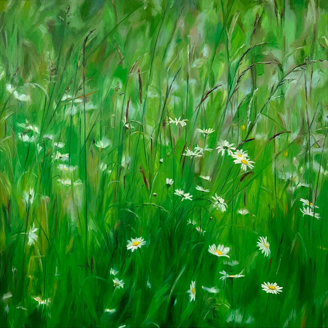 Daisies on Green