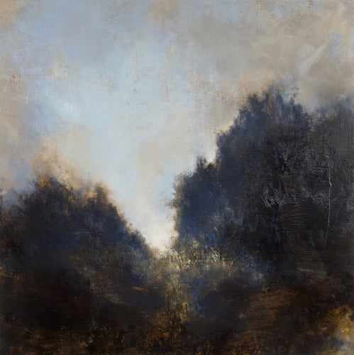Dark brown trees at dusk with light blue sky