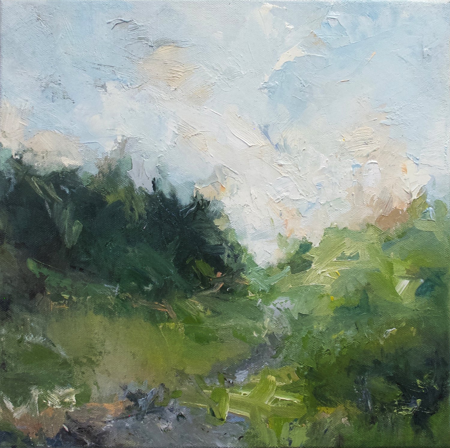 Spring Study oil painting with trees and sky